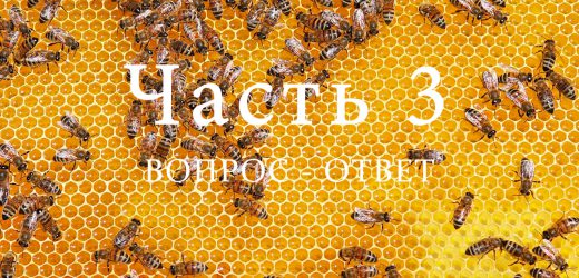 Продукция пчеловодства, часть 3