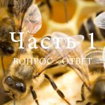 Разведение пчел, часть 1