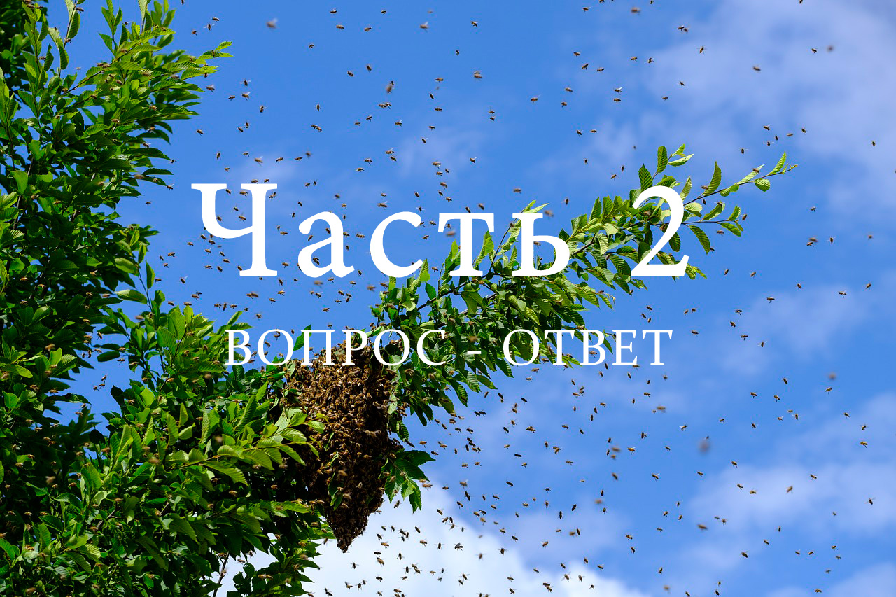 Роение пчел, часть 2